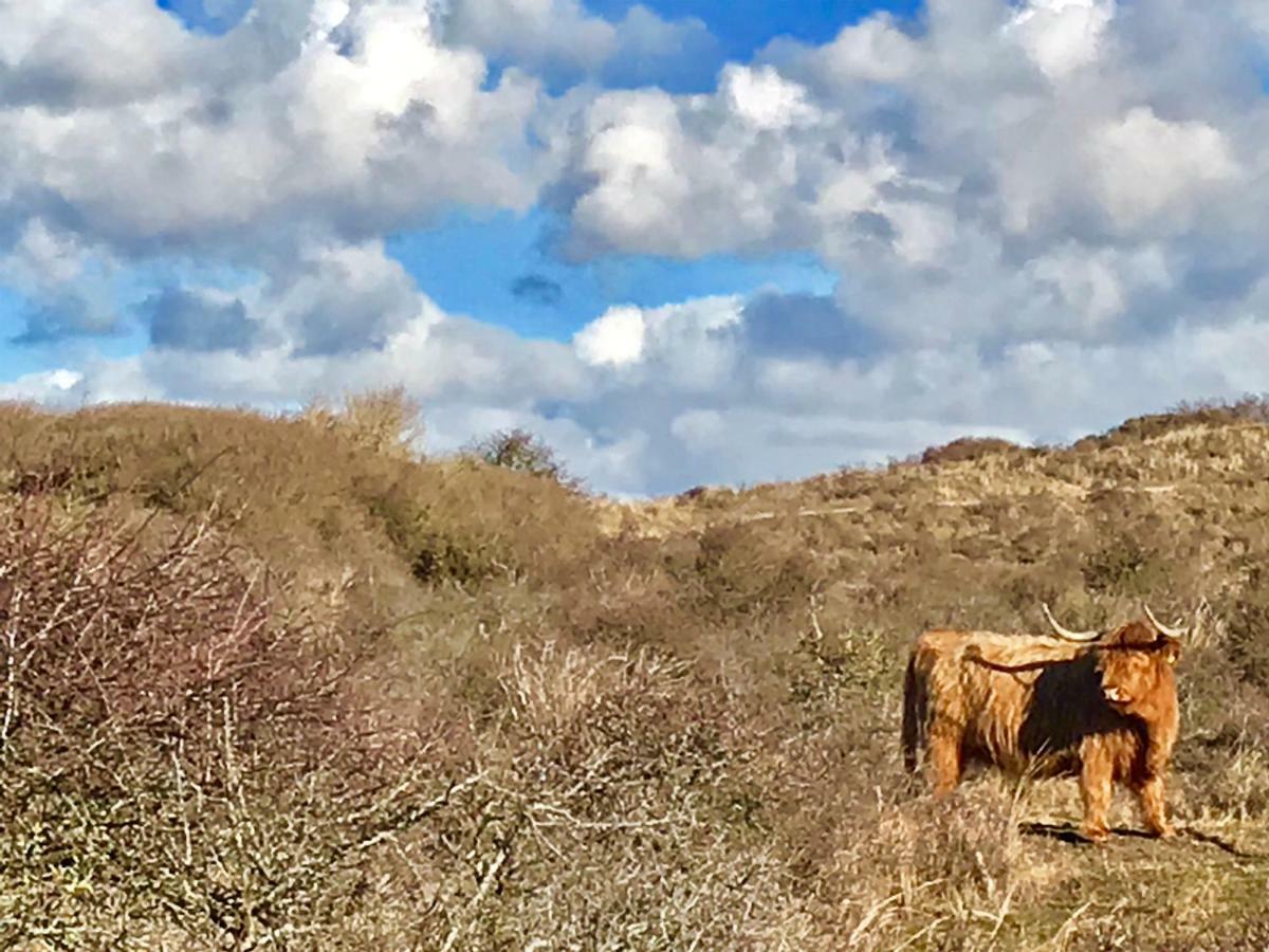 Achter De Duinen Apartman Zandvoort Kültér fotó